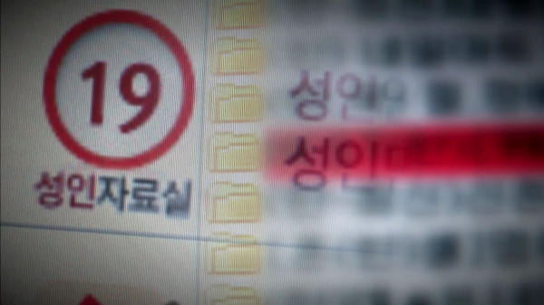 "야동 있나요" 음란 영상에 도박까지…불법 온상지 '성인 PC방' 