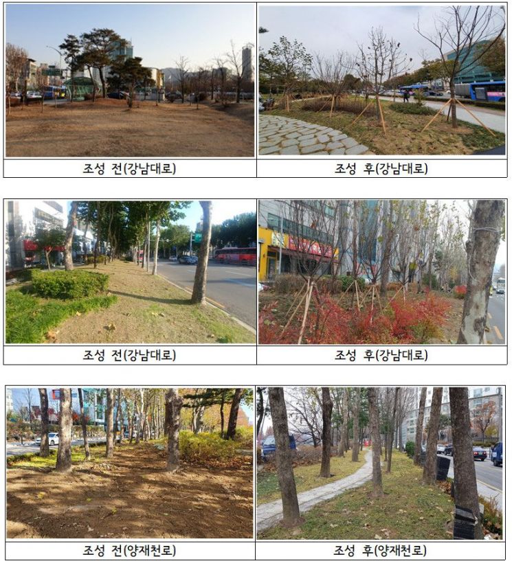 서초구 '청정 마을버스' 운행· 바람길숲 조성한 까닭?