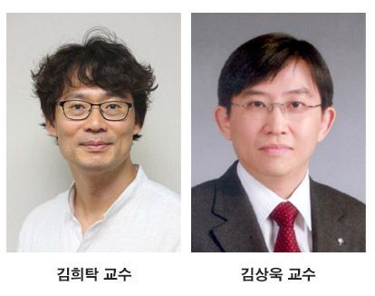 한국산 '물전지' 개발…日소재 안쓴다 