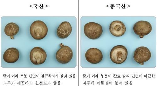 전남농관원, 설 차례상·제수용 농산물 원산지 정보 제공