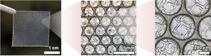 '인공땀샘' 개발.. 웨어러블 방열 새장 