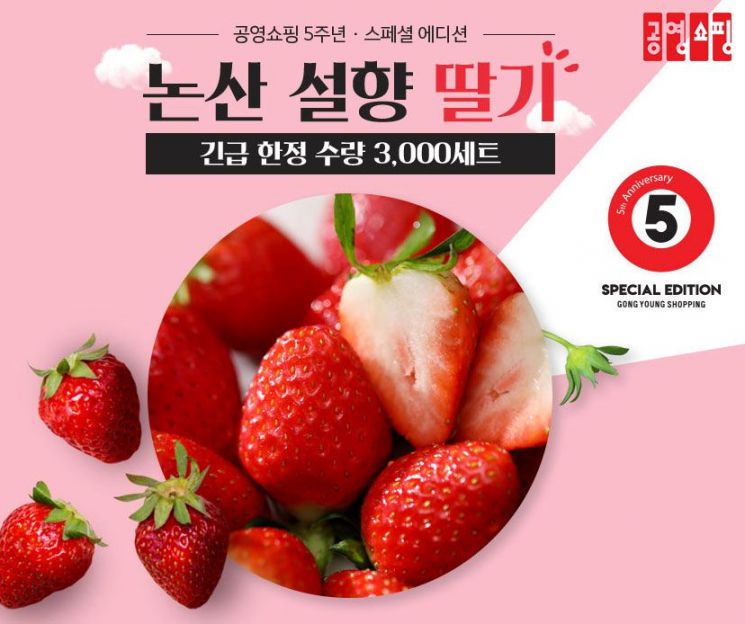 공영쇼핑, 개국 5주년 특별 ‘논산 설향 딸기’ 판매