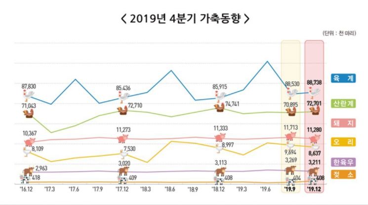돼지열병 여파로 지난해 4분기 돼지 5.3만마리 줄어
