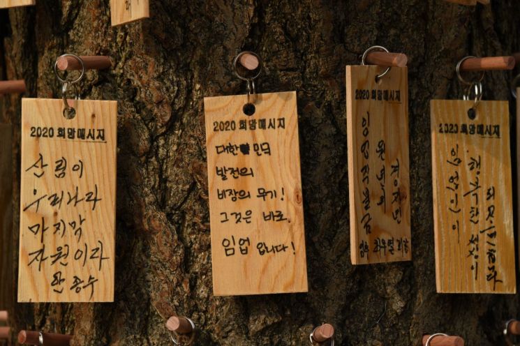 산림청은 지난 3일 세종시 전의면에서 임업인과 함께 하는 현장 시무식을 가졌다. 시무식에서 임업인이 작성한 '2020년 희망메시지'. 산림청 제공