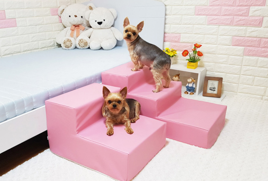 2兆 바라보는 펫케어…설날 선물로 '영양제·개모차' 인기
