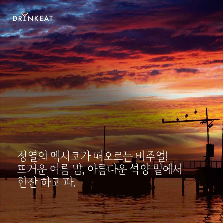 [드링킷] 사 놓고 처치 곤란한 데킬라 활용하기, 칵테일 팔로마