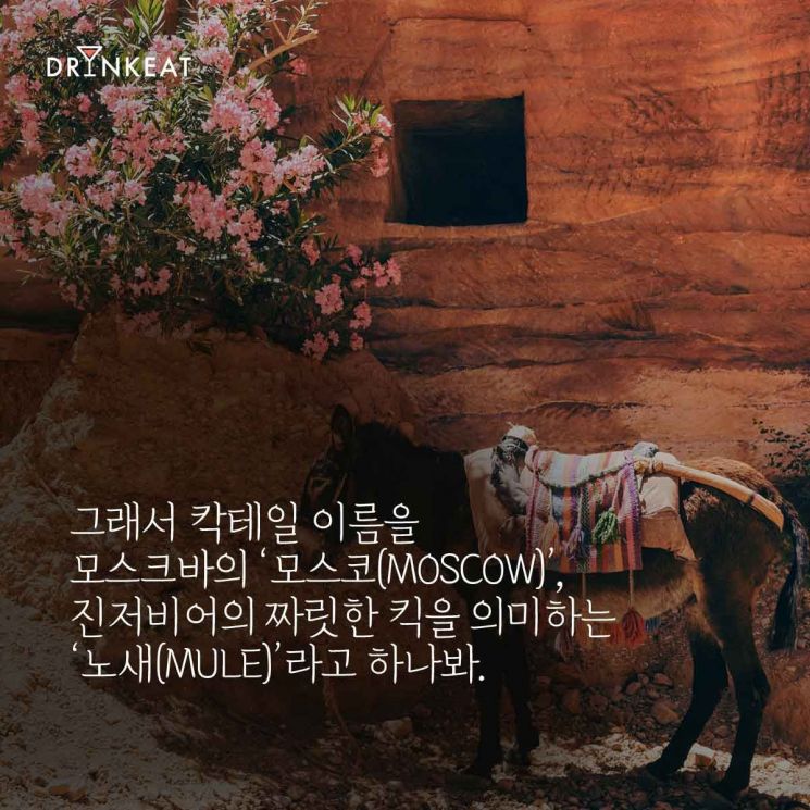 옄蹂몄씠 궠 移듯뀒씪, 紐⑥뒪肄 裕(Moscow Mule)