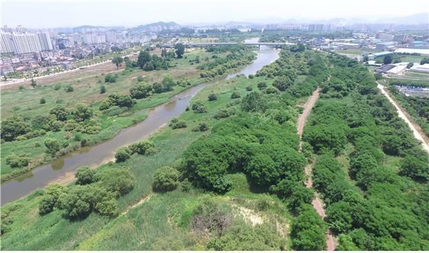 황룡강 장록습지 국가습지보호지역 지정 ‘시동’