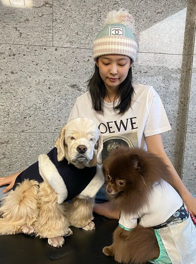 너무 귀여워서 난리난 제니와 댕댕이 '큐티뽀짝 패밀리'
