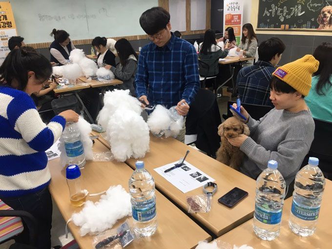 강동구, 반려견 행동전문가 양성과정 참여자 모집