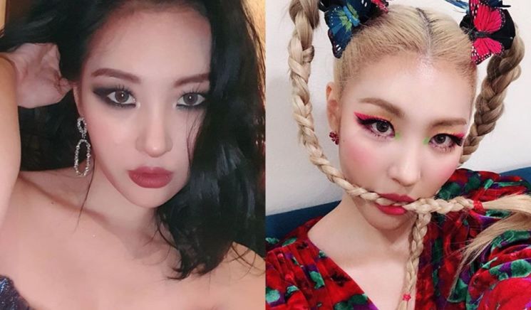 '스모키 or 비비드' 고양이 도도美 ↑, 아이 메이크업 장인 선미