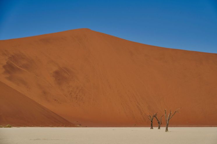 [조선희의 프레임]사진이 내 삶을 구했다