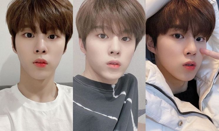 '빠져든다…' 국보급 사슴 눈망울로 팬심 사로잡은 김우석