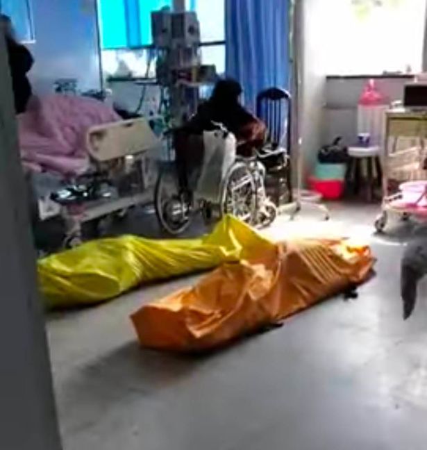 우한 병원에 버려진 시체들/사진=유튜브 영상 캡처