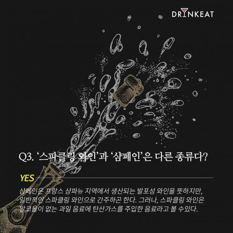 [드링킷] 와인의 오해와 진실 : 말해 YES or NO