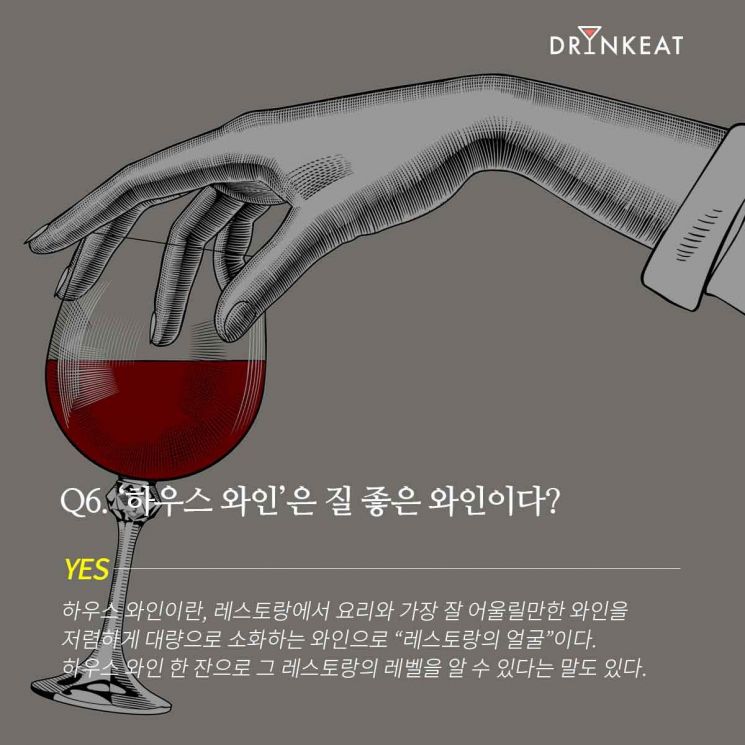 [드링킷] 와인의 오해와 진실 : 말해 YES or NO