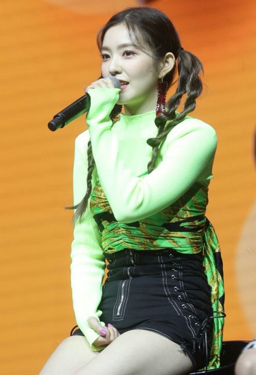 [종합]"아이린 몸매 별로" 인기 유튜브 품평 논란에 사과까지