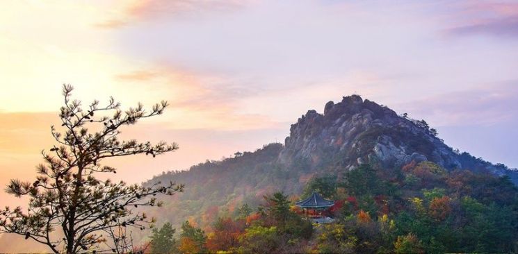 유달산 전경 (사진제공=목포시)