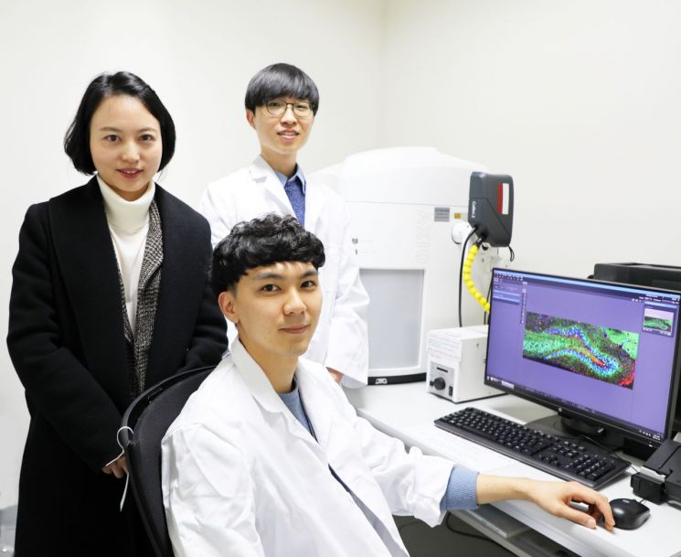 뇌 단백질 기능 규명.. 뇌전증 치료 새 장