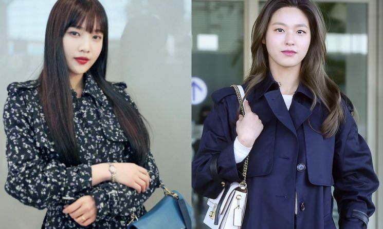 레드벨벳 조이, AOA 설현. 사진=마이클 코어스, 코치