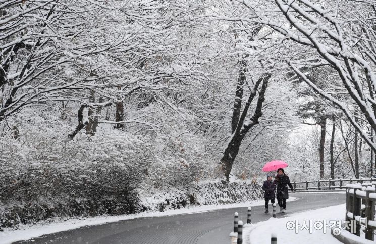 눈이 내린 17일 서울 남산순환로에서 시민들이 눈 덮힌 산책로를 걷고 있다./김현민 기자 kimhyun81@