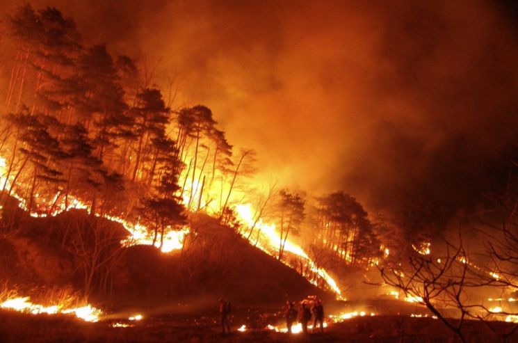 경기도, 산불 사진 전시회 연다 