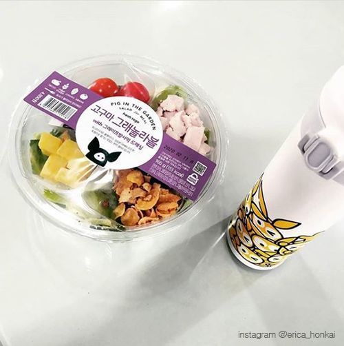사진=인스타그램 @erica_honkai