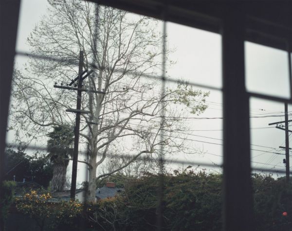 우타 바르트 'Untitled, from Nowhere Near', C-프린트, 88×111㎝ (triptych, edition 2/4), 1999  [사진= 케이옥션 제공]