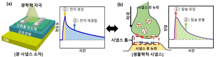 뇌처럼 기억하는 '반도체' 구현