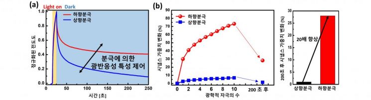 뇌처럼 기억하는 '반도체' 구현