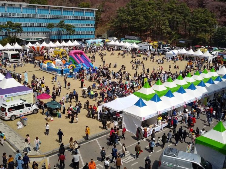 20만 찾는 경기도청 봄꽃축제 '코로나'로 취소