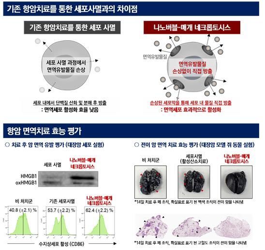 암세포 '나노버블'로 터뜨려 죽인다
