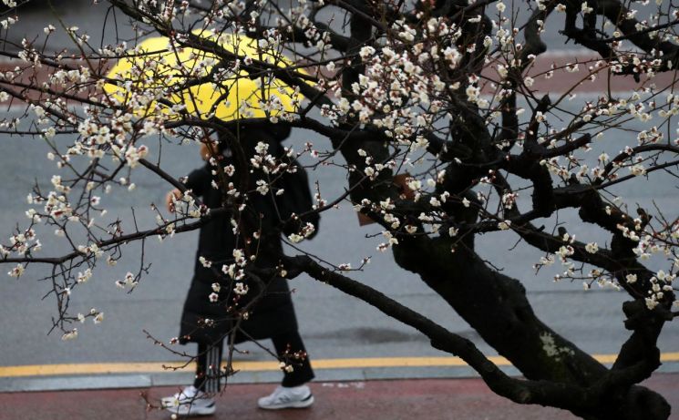 [날씨] 전국에 봄비 내리는 화요일…낮부터 차차 그쳐
