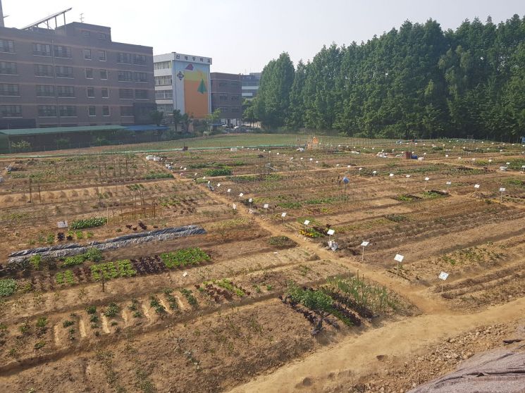 길동텃밭
