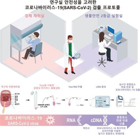 국내 연구진이 생물학 실험실에서 코로나19를 진단할 수 있는 코로나19 검출법을 개발했다.