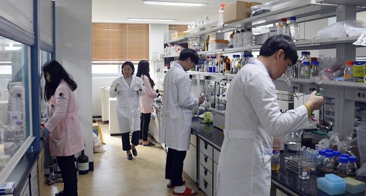 경남농업기술원, '유전자 교정 작물 시대' 새송이버섯 신품종 개발한다