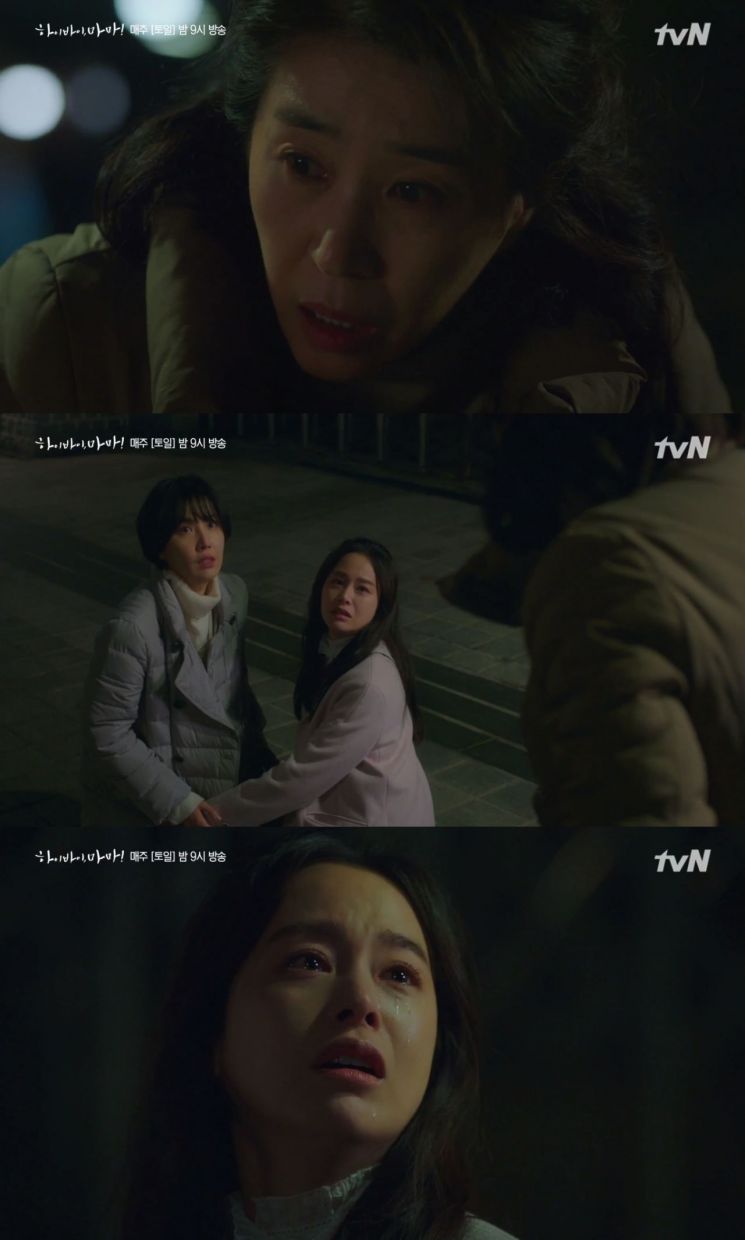 Kim Tae-hee finally met her mother Kim Mi-kyung. Photo by "Hi Bye, Mama!" capture