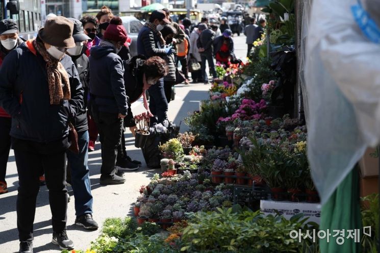 [포토]코로나19 잊고 종로꽃시장 찾은 시민들 