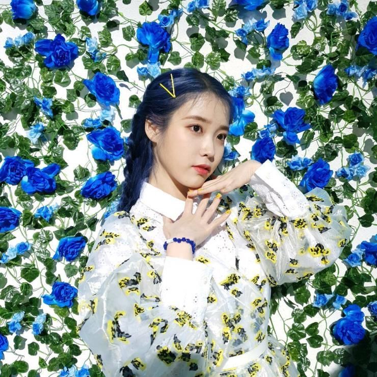 사진=아이유 인스타그램