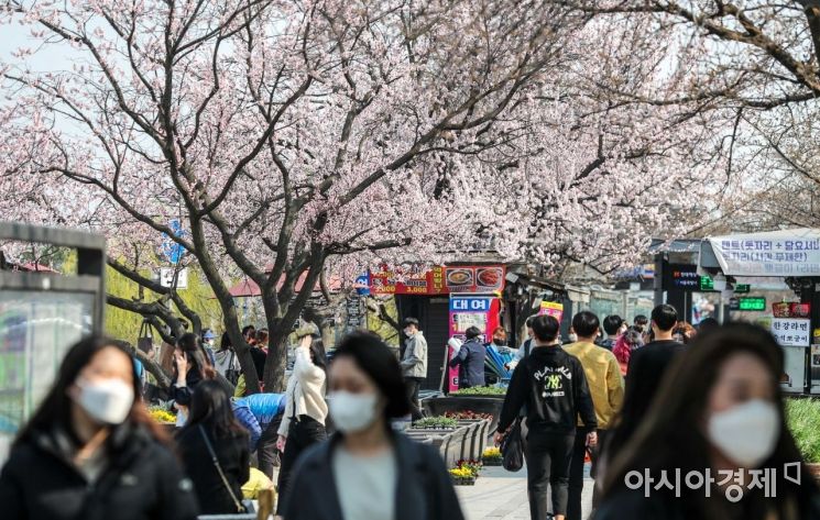 서울 한 낮 기온이 19도까지 올라가며 완연한 봄 날씨가 이어지고 있는 24일 서울 여의도 한강공원 인근에서 시민들이 매화나무 아래를 거닐고 있다./강진형 기자aymsdream@