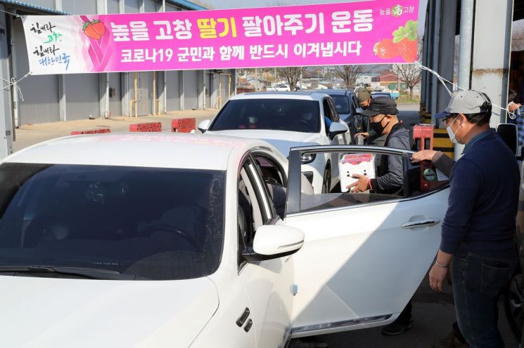 고창군, 드라이브 스루 방식으로 딸기 판매 ‘화제’