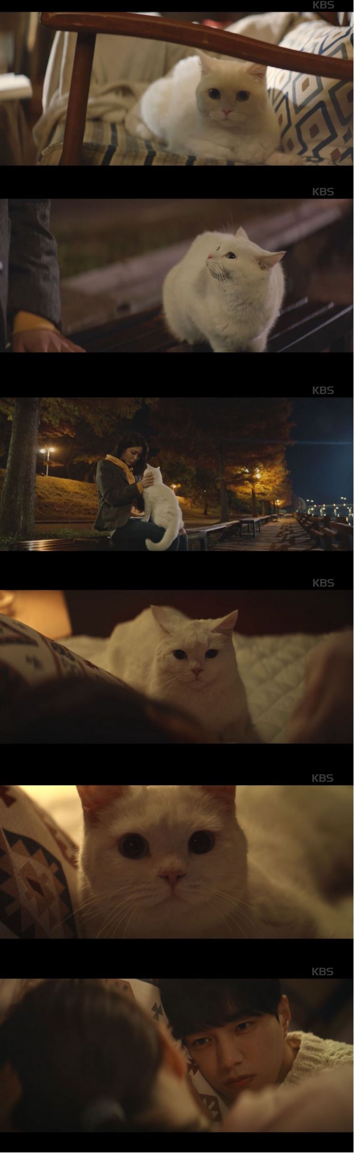 사진=KBS2 '어서와' 방송화면 캡처