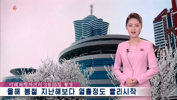 조선중앙TV는 지난 25일 "올해 우리나라에서 봄철은 북부내륙을 제외한 대부분 지역에서 지난해보다 열흘정도 빨리 시작됐다"고 소개했다. <이하 사진=연합뉴스>