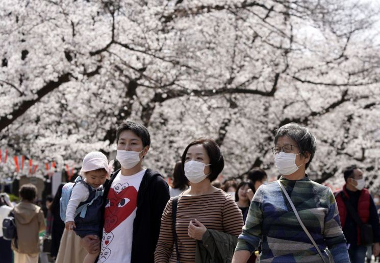 지난달 22일 일본 도쿄 우에노공원에 벚꽃이 만개하자 신종 코로나바이러스 감염증(코로나19) 확산 우려에도 불구하고 많은 시민들이 찾아와 마스크를 쓰고 구경하고 있다. [이미지 출처=EPF연합뉴스]