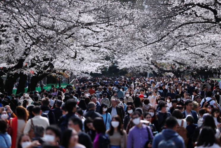 지난달 22일 신종 코로나바이러스감염증(코로나19) 확산 우려에도 불구하고 일본 도쿄 우에노공원에 벚꽃이 만개하자 많은 시민들이 찾아와 구경하고 있다. [이미지출처=로이터연합뉴스]