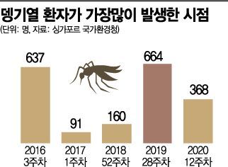 싱가포르, 코로나19도 버거운데…뎅기열까지 극성