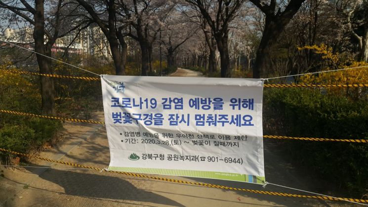 강북구, 우이천변 벚꽃길 임시 통제