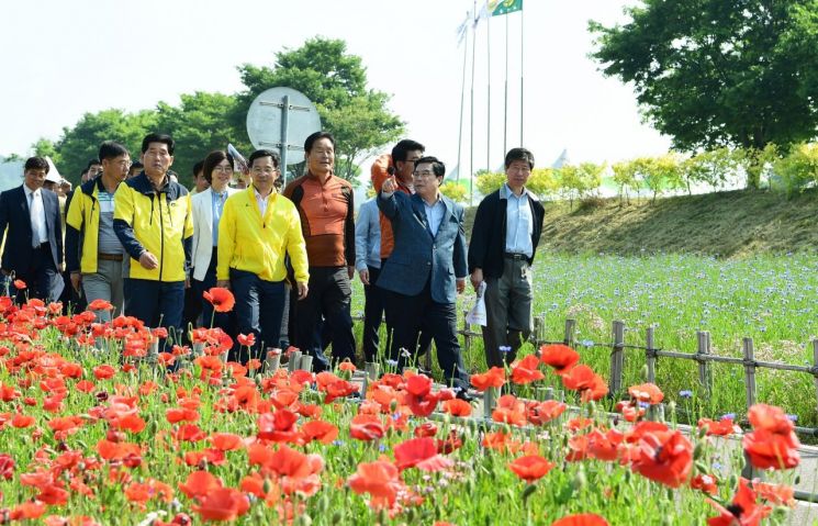 장성군 ‘황룡강 길동무 꽃길축제’ 취소