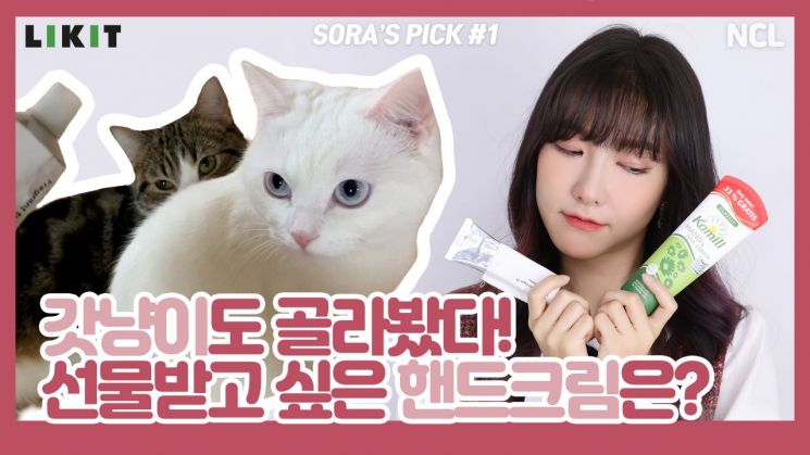 사랑스러운 에디터 소라와 애옹이★