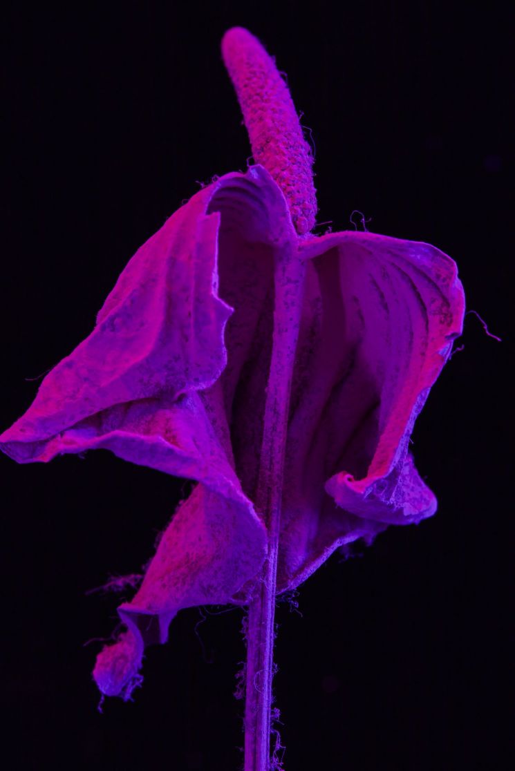 [조선희의 프레임]시간을 가두다_작업노트